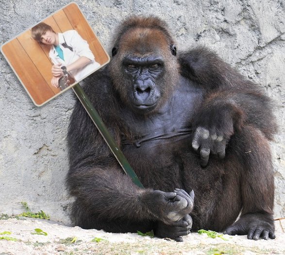 1-ro-2edcbf748747b8934a6b8cad416cf2ab - xX For Justin 1 Xx