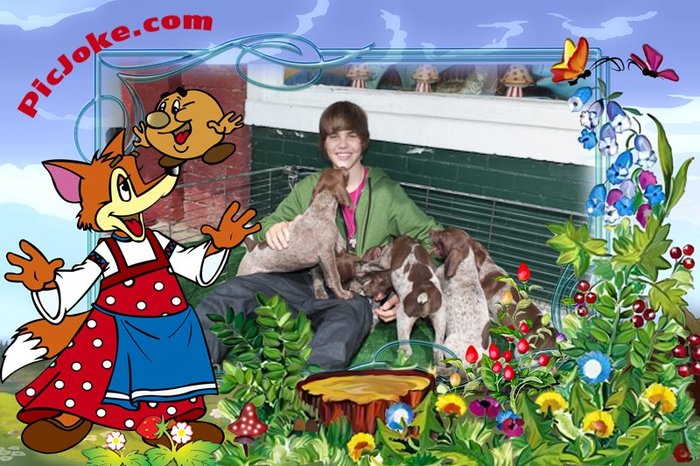 1-ro-311b1484dc7366653f5be3f5ba69f3bf