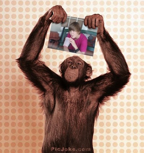 1-ro-0371af6d064bd68c37f8c69261a45e57