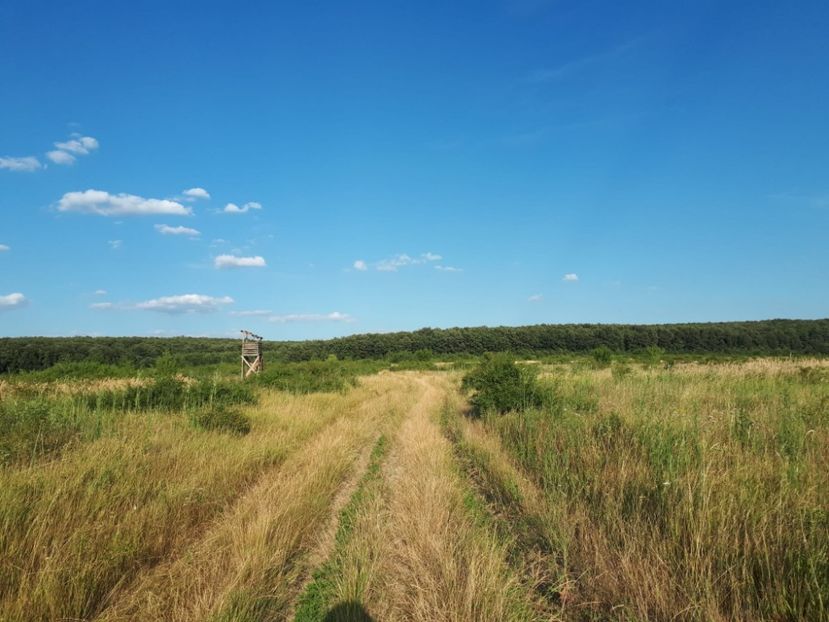 IMG-20221102-WA0046 - Cetate