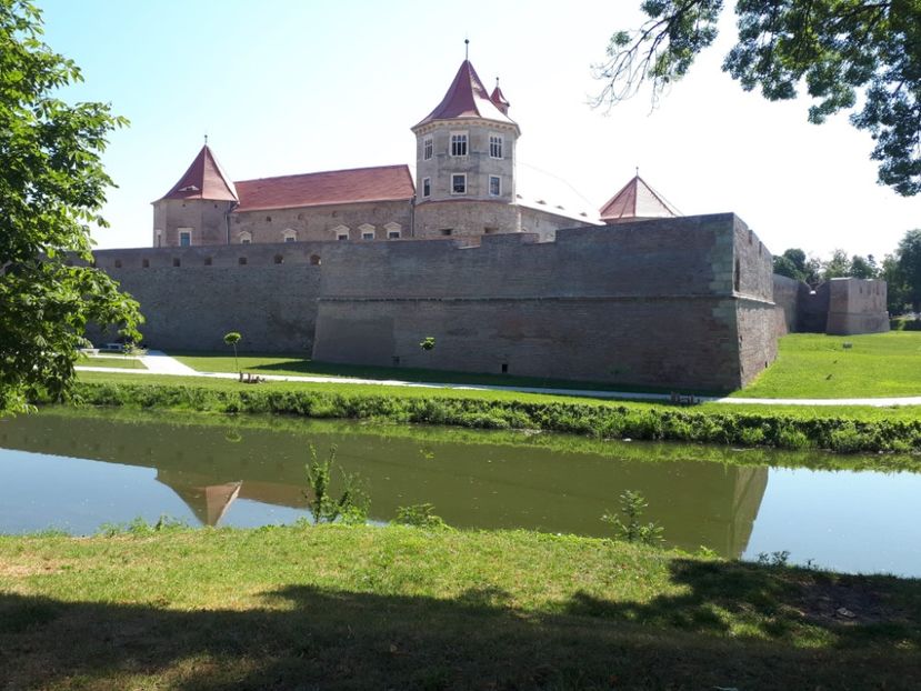 IMG-20221102-WA0081 - Cetate