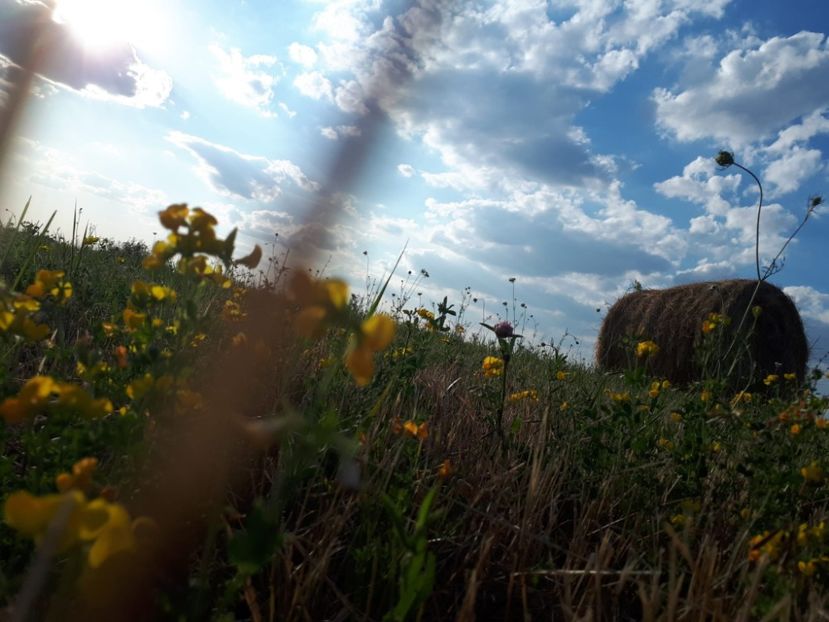 IMG-20221102-WA0044 - Cetate