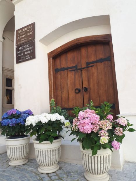 IMG-20221102-WA0055 - Cetate