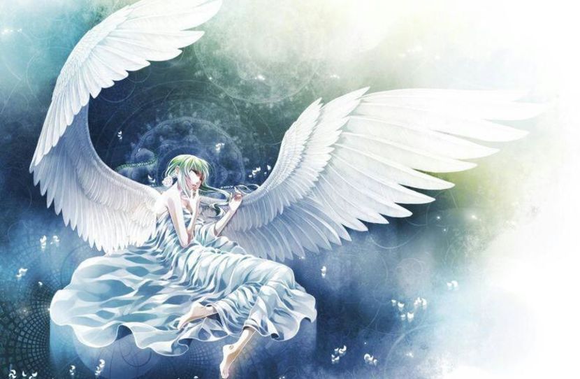 114615329_XOAMUYZ3-1 - photos