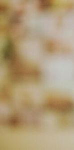 52016830_BXGDOSQ2-1 - pictures