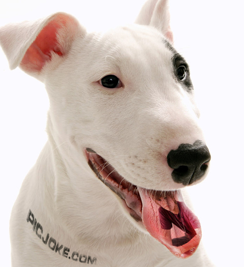 1-ro-d8b60e41bc23c200be99ec0075f48154 - xX For Justin 1 Xx