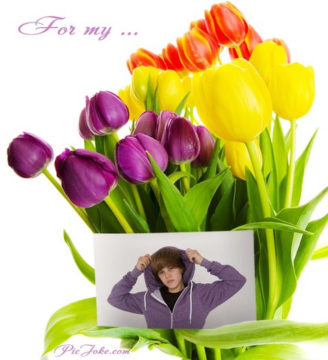 1-ro-d83676be40272908bd902806d5546397