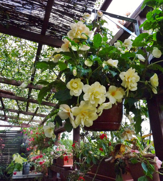  - 2022 - 03 - Toamna