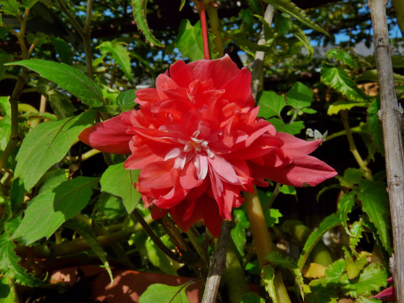  - 2022 - 03 - Toamna