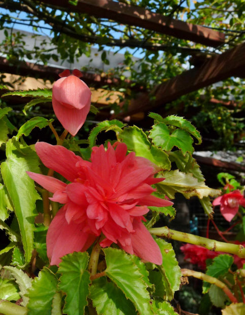  - 2022 - 03 - Toamna