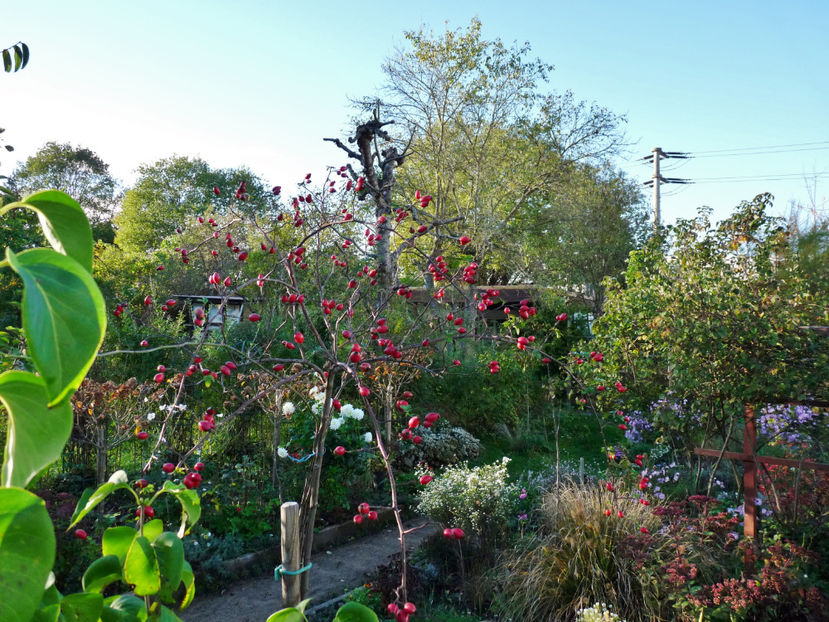  - 2022 - 03 - Toamna