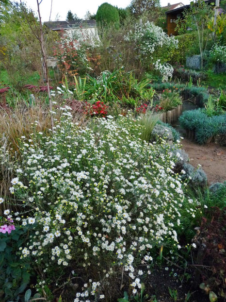  - 2022 - 03 - Toamna