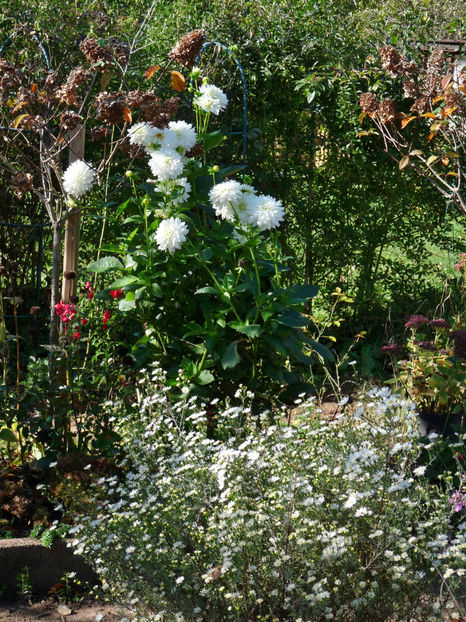  - 2022 - 03 - Toamna