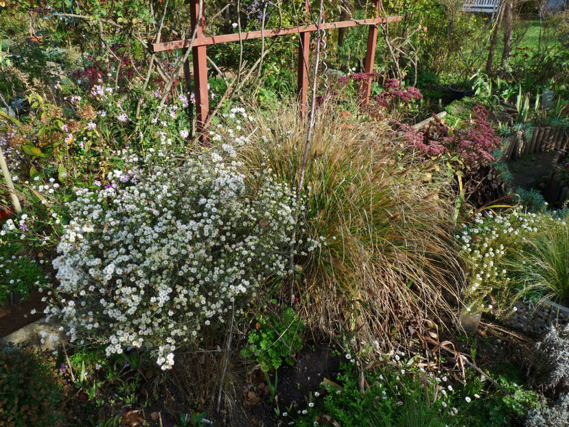  - 2022 - 03 - Toamna