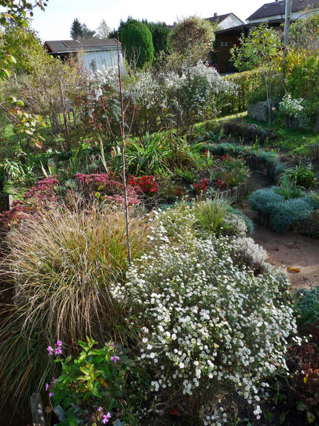  - 2022 - 03 - Toamna