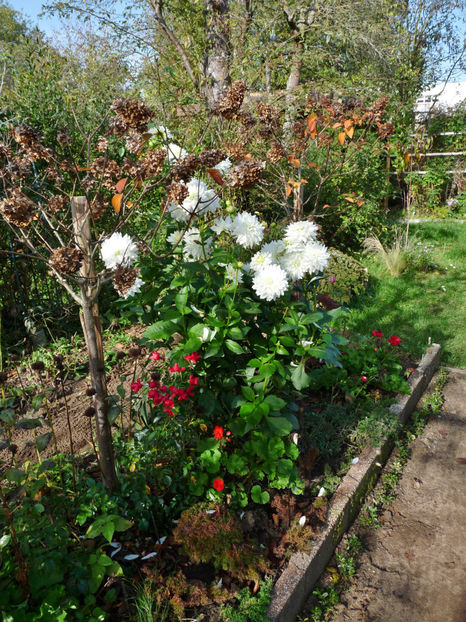  - 2022 - 03 - Toamna