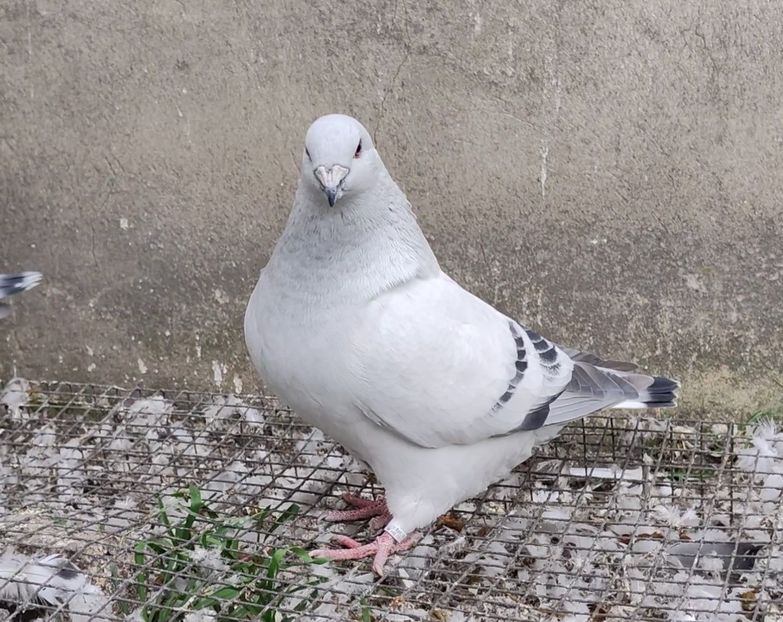 PL22-A2377 ARCHIWUM - i- MLODE -2022- Youth