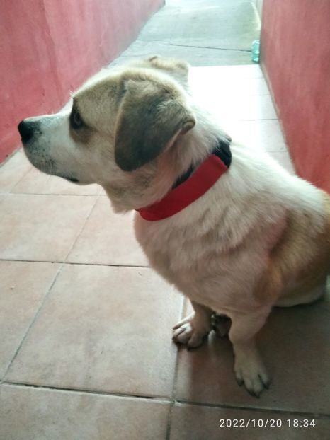  - Fotografiile Mele 2