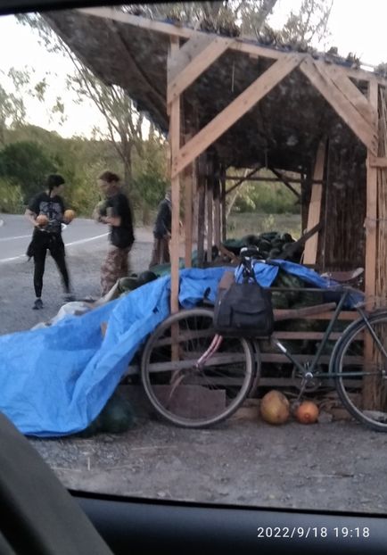  - Fotografiile Mele 2