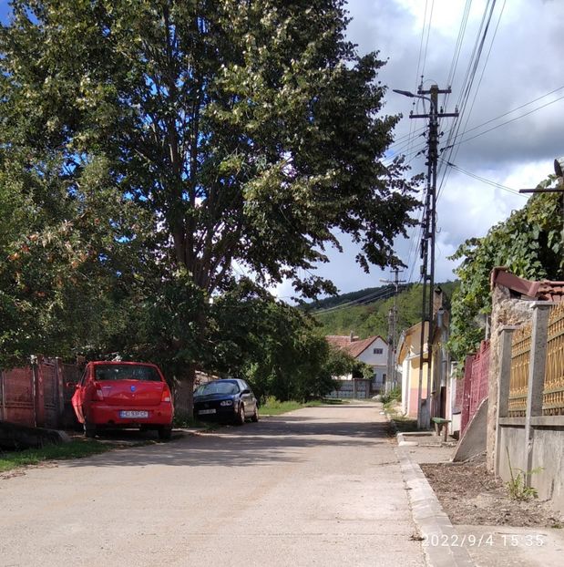  - Fotografiile Mele 2