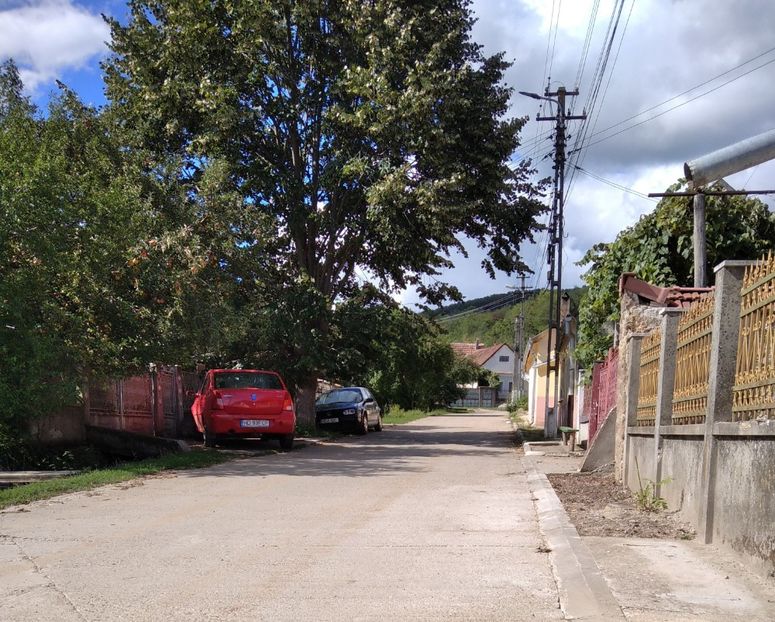  - Fotografiile Mele 2