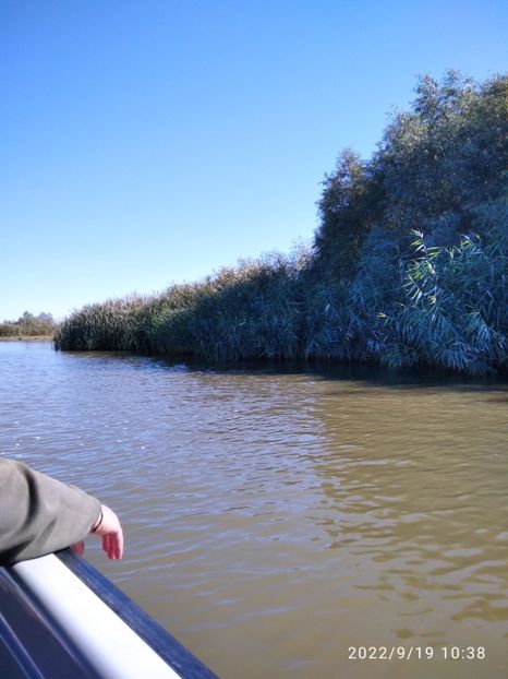  - Fotografiile Mele 2