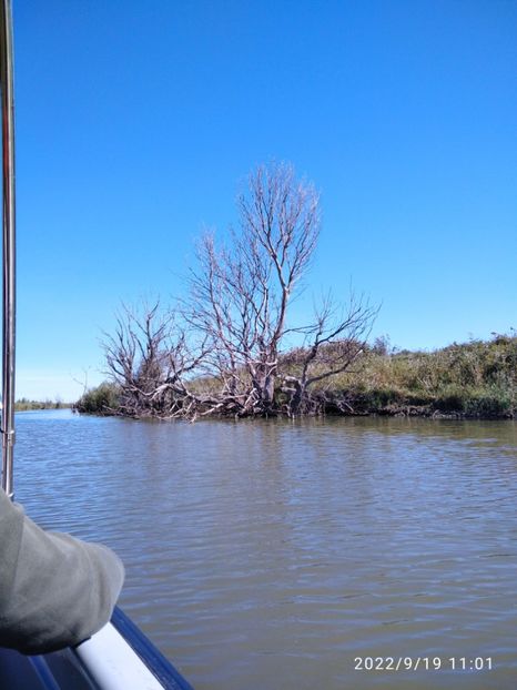  - Fotografiile Mele 2