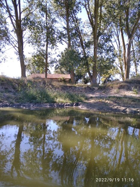  - Fotografiile Mele 2