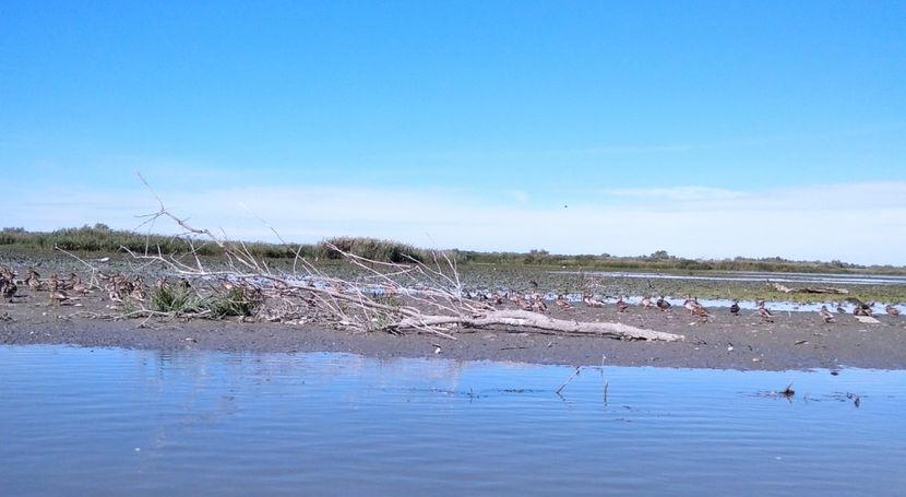  - Fotografiile Mele 2