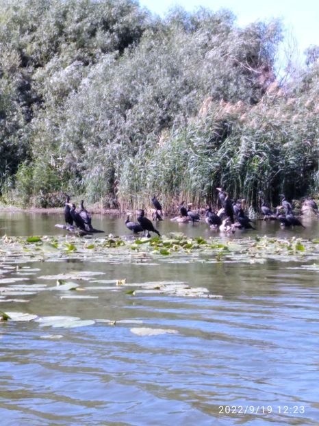  - Fotografiile Mele 2