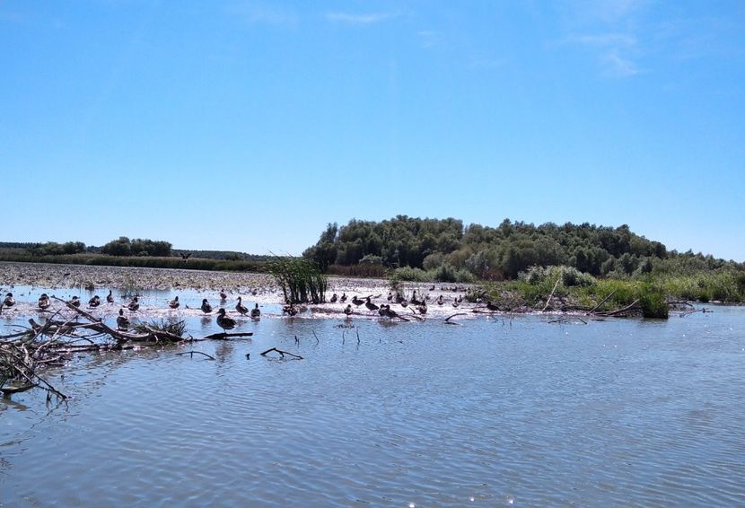  - Fotografiile Mele 2