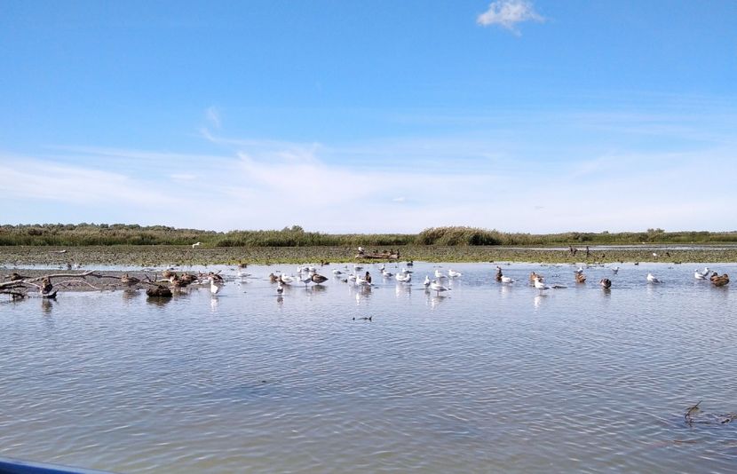  - Fotografiile Mele 2