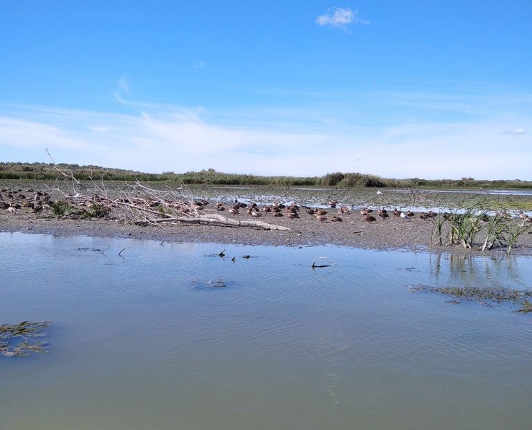  - Fotografiile Mele 2