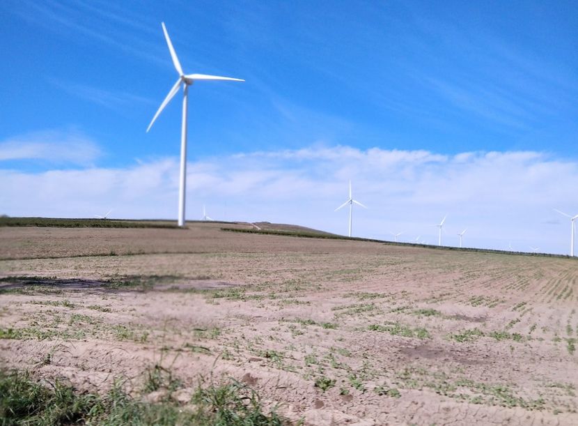  - Fotografiile Mele 2