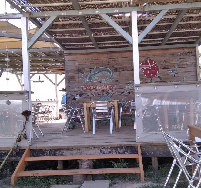  - Fotografiile Mele 2