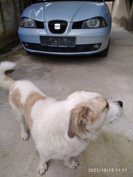  - Fotografiile Mele 2