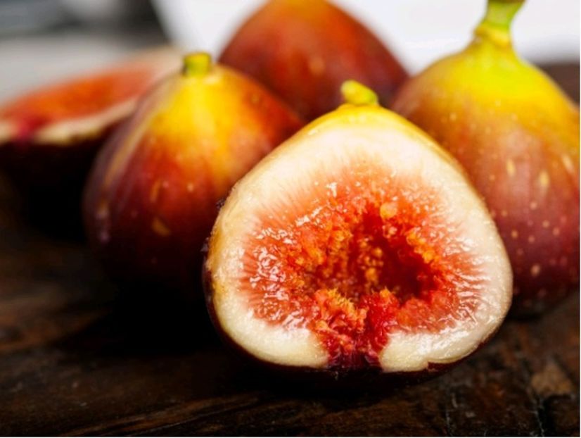 Ficus Carica Francesca - Smochine