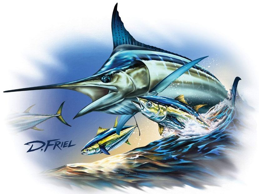 dennis-friel-giant-blue-marlin-illustration - Picturi Marine