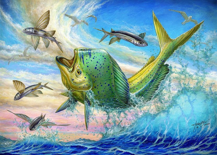 jumping-mahi-mahi-and-flyingfish-terry-fox - Picturi Marine