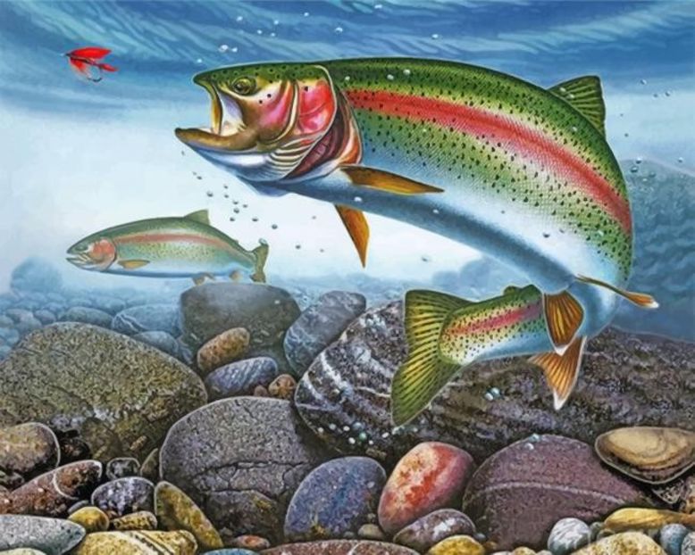 trout-fish-paint-by-number - Picturi Marine