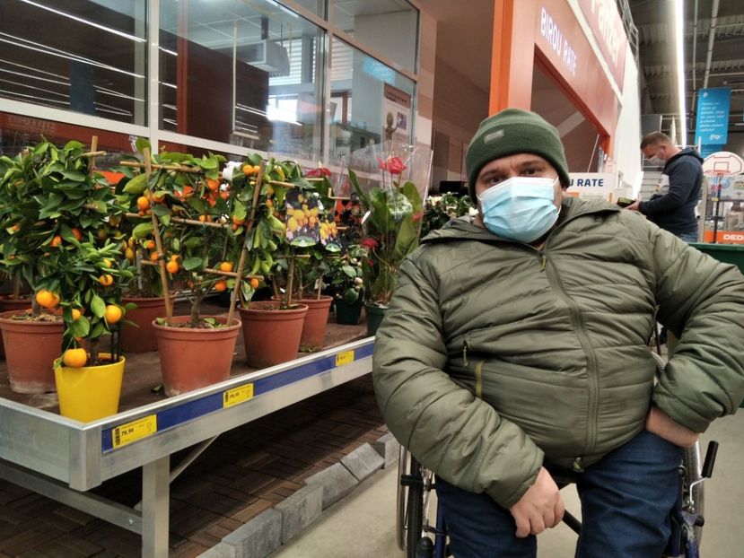 citrice - Fotografiile Mele 2