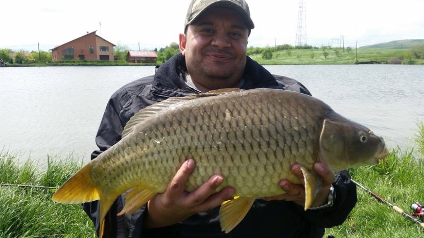 fish3 - Fotografiile Mele 2