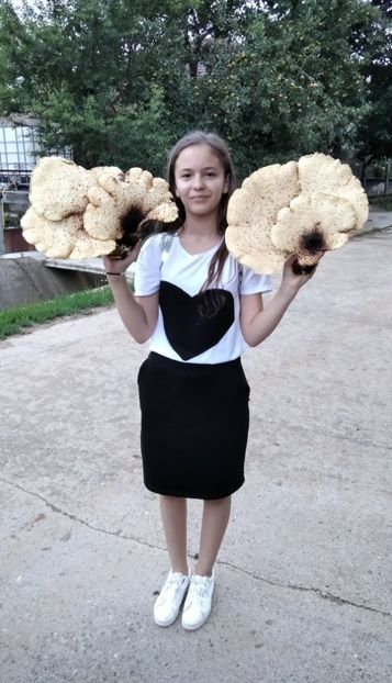  - Fotografiile Mele 2