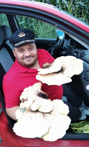  - Fotografiile Mele 2