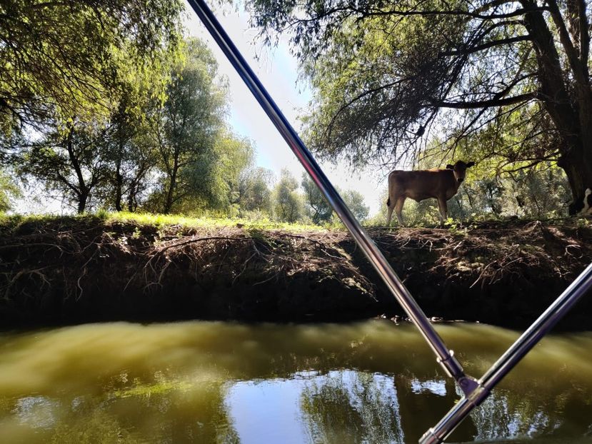 delta 3 - Vacanta 2022