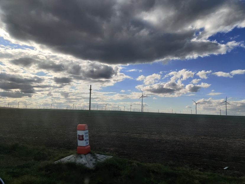 elice2 - Vacanta 2022