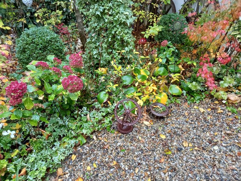  - Grădina 2022 continuare 4