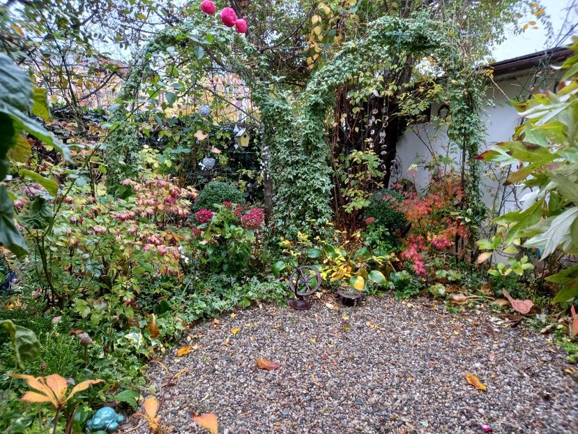  - Grădina 2022 continuare 4