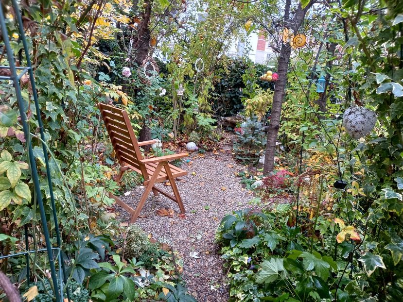  - Grădina 2022 continuare 4