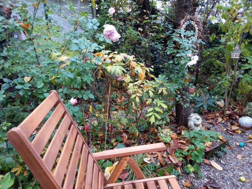  - Grădina 2022 continuare 4